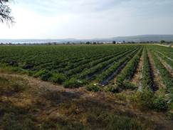 Venta de terrenos en Querétaro, Venta de terrenos en San Juan del Rio, Venta de terrenos en Pedro Escobedo Querétaro, Venta de terrenos en el Marques Querétaro, Venta de terrenos en Colon Municipio de Querétaro.