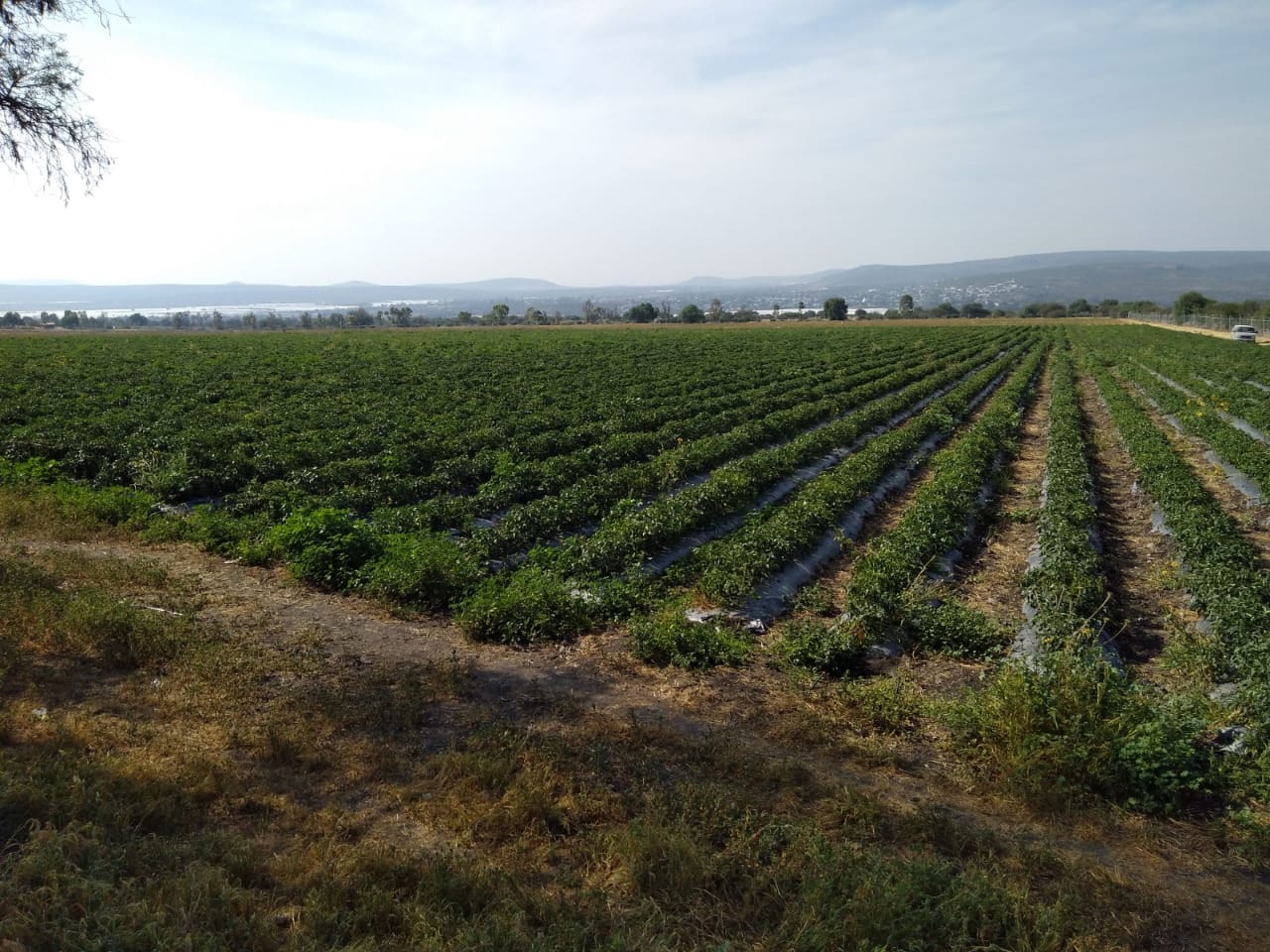 Venta de terrenos en Querétaro, Venta de terrenos en San Juan del Rio, Venta de terrenos en Pedro Escobedo Querétaro, Venta de terrenos en el Marques Querétaro, Venta de terrenos en Colon Municipio de Querétaro.